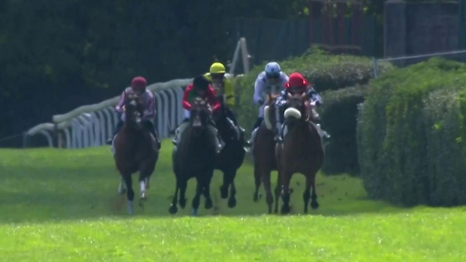 Hípica - Circuito nacional de carreras de caballos, desde el Hipódromo de San Sebastián - ver ahora
