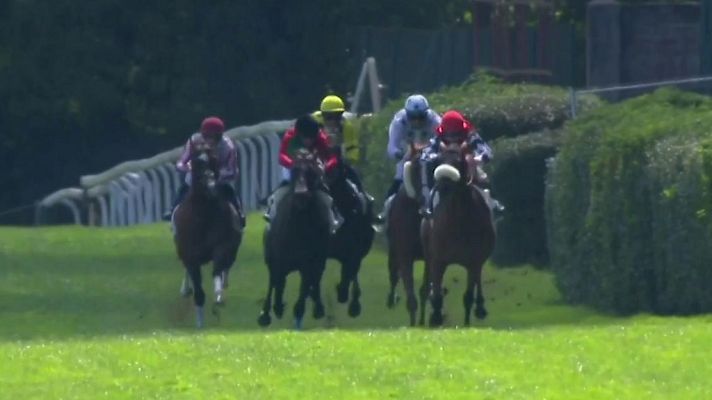 Hípica - Circuito nacional carreras de caballos, San Sebastián