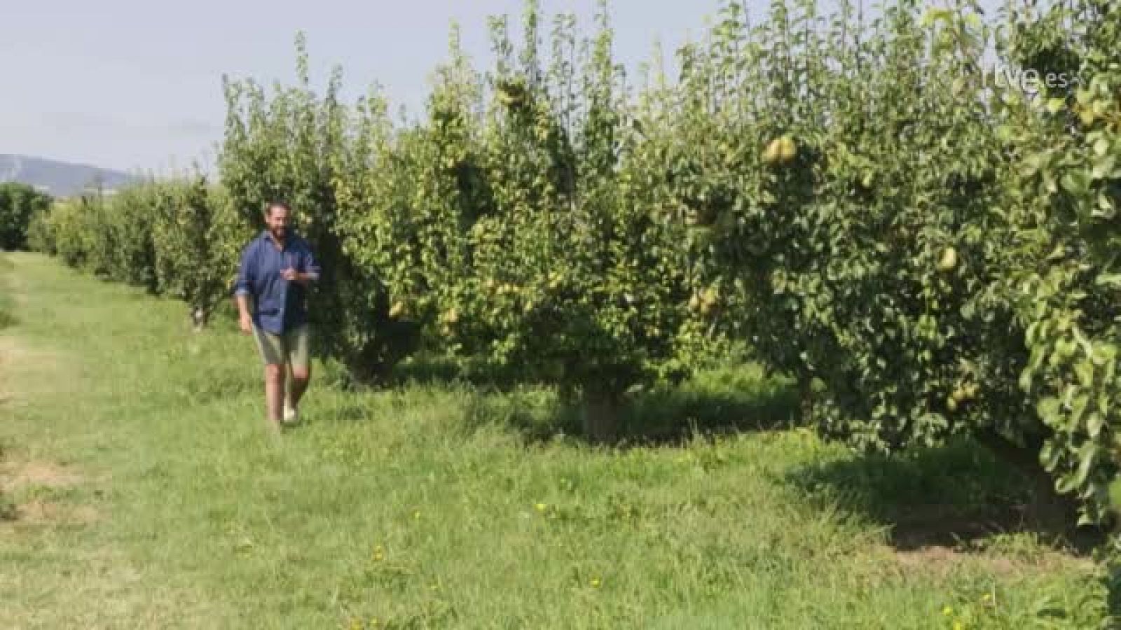 Peña en Rincón de Soto (La Rioja) | Ver
