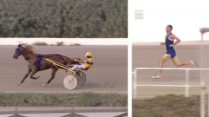Hípica - Desafío atleta vs caballo