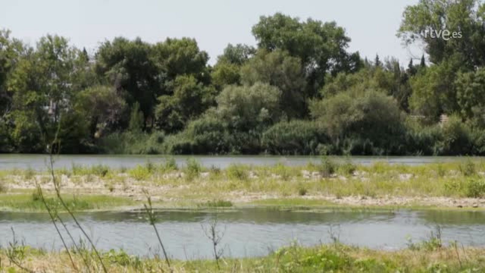 Peña de nuevo en Tudela | Ver