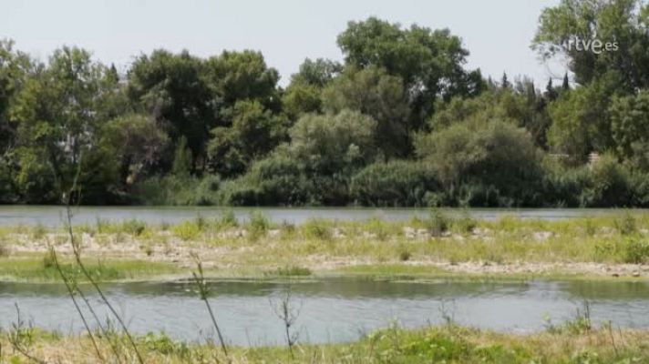 Cocina al punto con Peña y Tamara - Peña de nuevo en Tudela