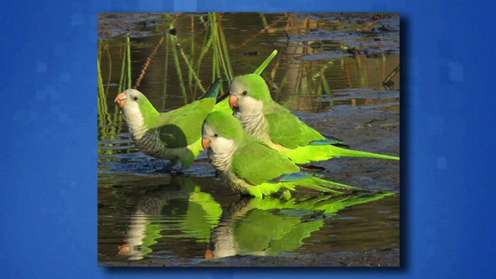 Saber y ganar - 03/09/20 - ver ahora