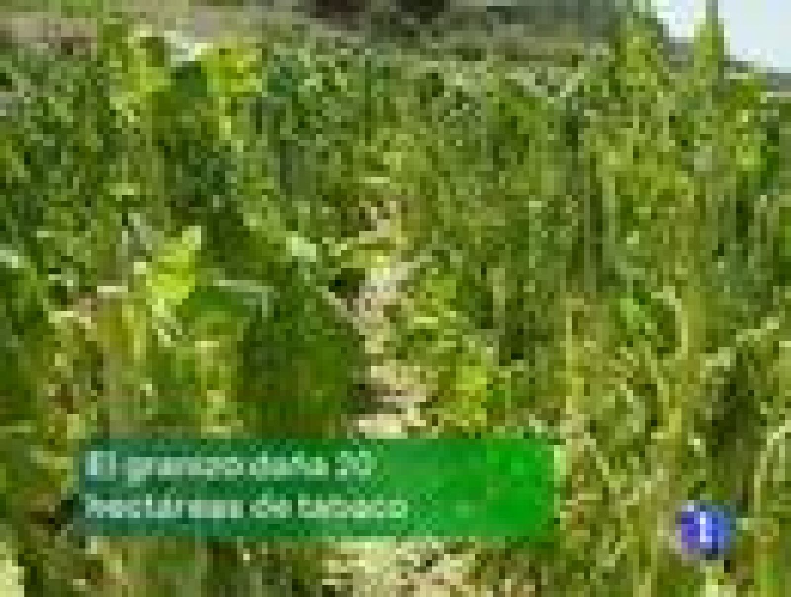 Noticias de Extremadura. Informativo Territorial de Extremadura. (12/08/09)