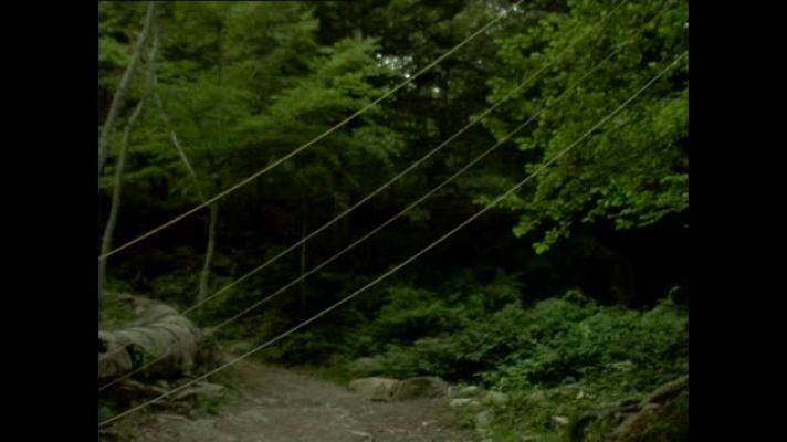 Metrópolis - Patricia Piccinini