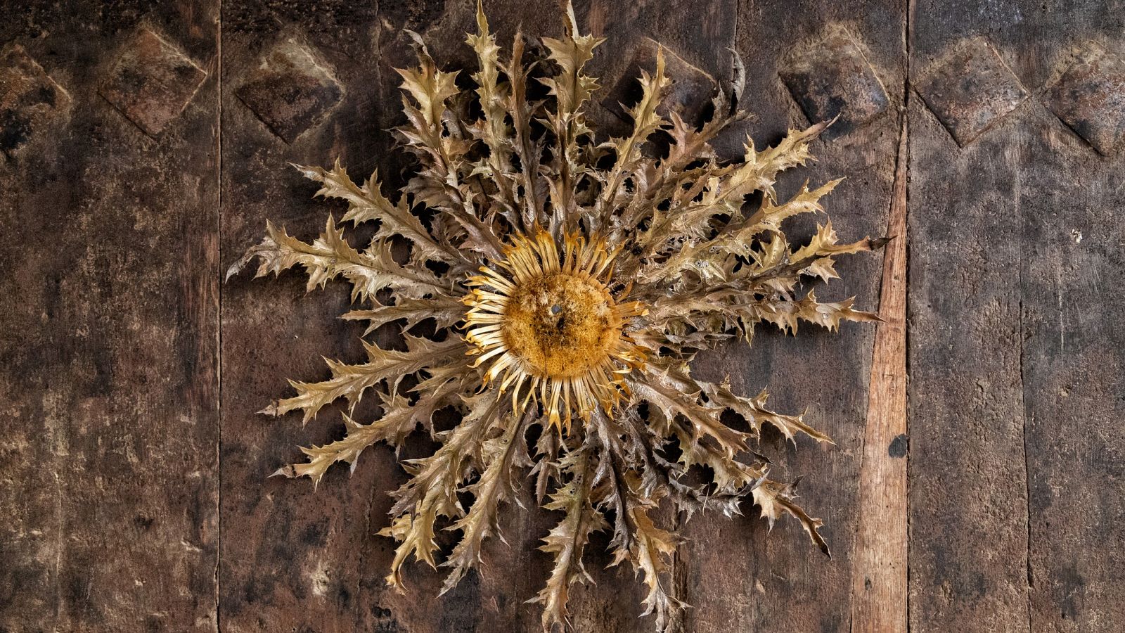 España Directo - 04/09/20 - ver ahora