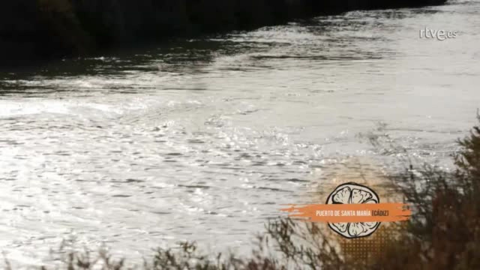 Peña en el Puerto de Santa María (Cádiz) | Ver