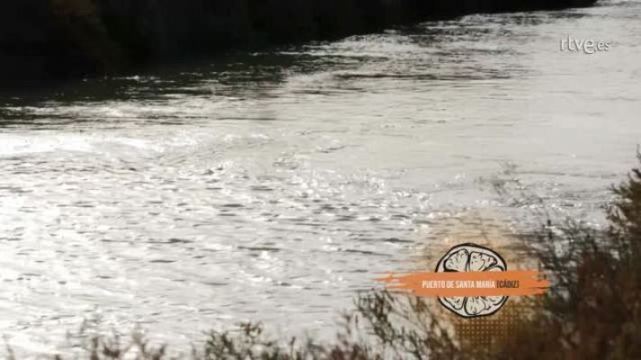 Cocina al punto con Peña y Tamara - Peña en el Puerto de Santa María (Cádiz)