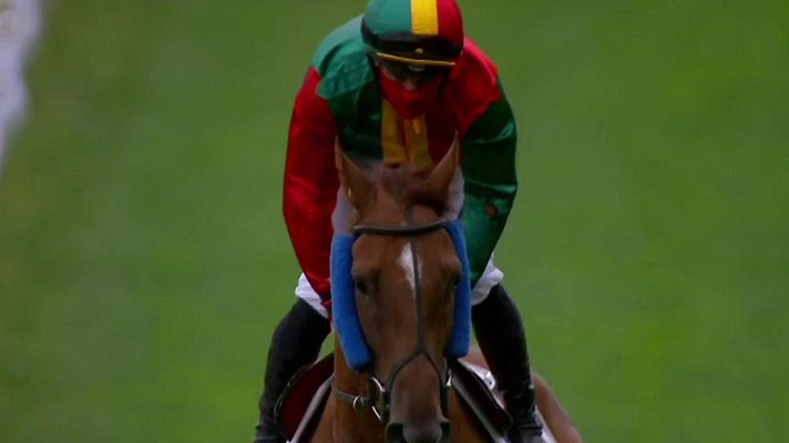 Hípica - Circuito nacional carreras de caballos. San Sebastián