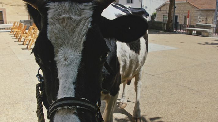 Historias de Alcafrán - Los mejores momentos del estreno