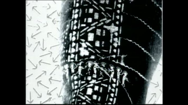 Metrópolis - Piel, carne y fluidos