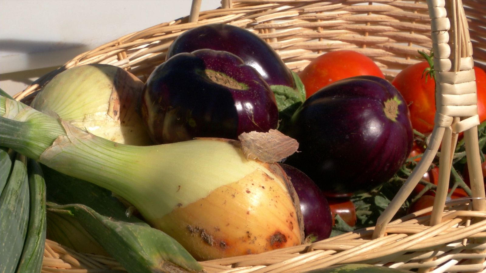 Aquí la Tierra - 07/09/20 - ver ahora