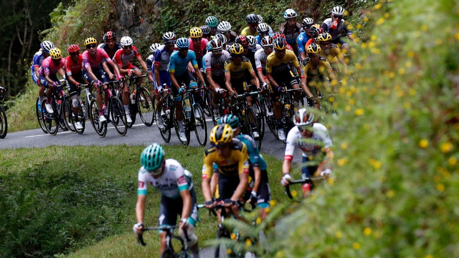 Tour de Francia | Un posible positivo en el Deceuninck | Ver