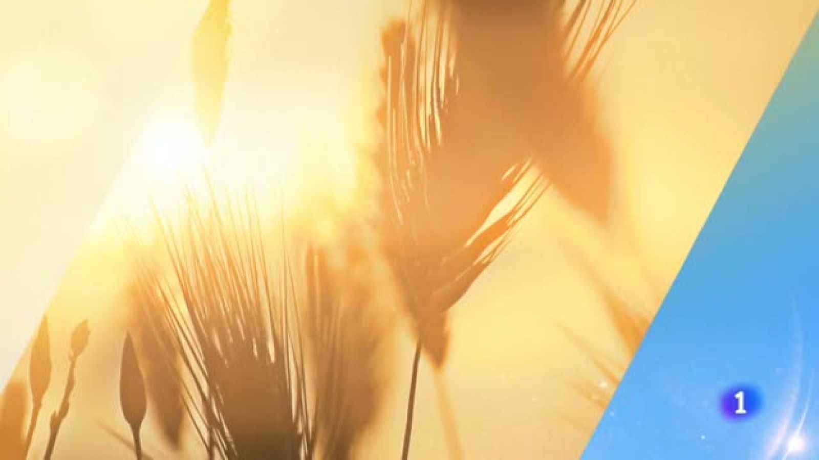 El tiempo en Andalucía - 09/09/2020 | Ver