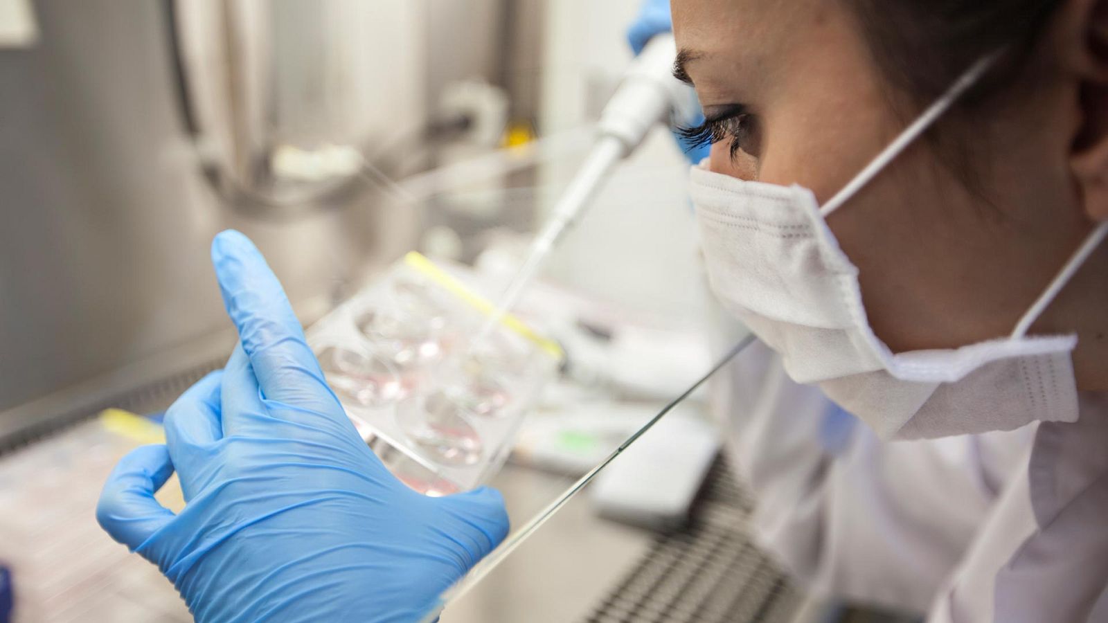 Telediario 1 en cuatro minutos - 09/09/20 - Ver ahora