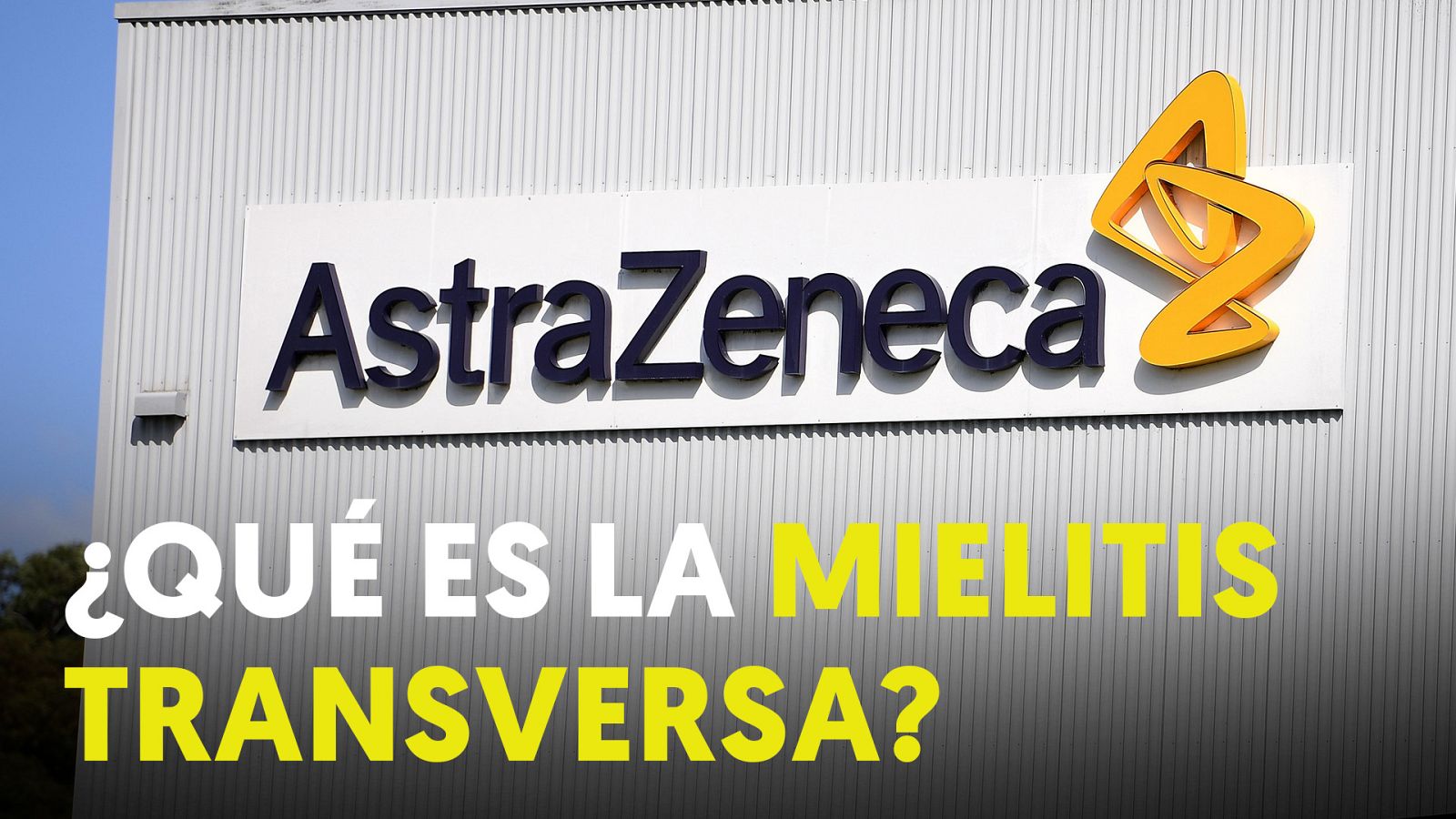 ¿Qué es la mielitis transversa? - Modo Digital | Ver