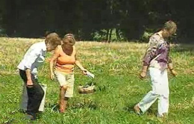 España Directo - Virtudes de las plantas