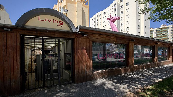 Telediario 1 - El Gobierno plantea una prórroga de los ERTE que consumiría paro