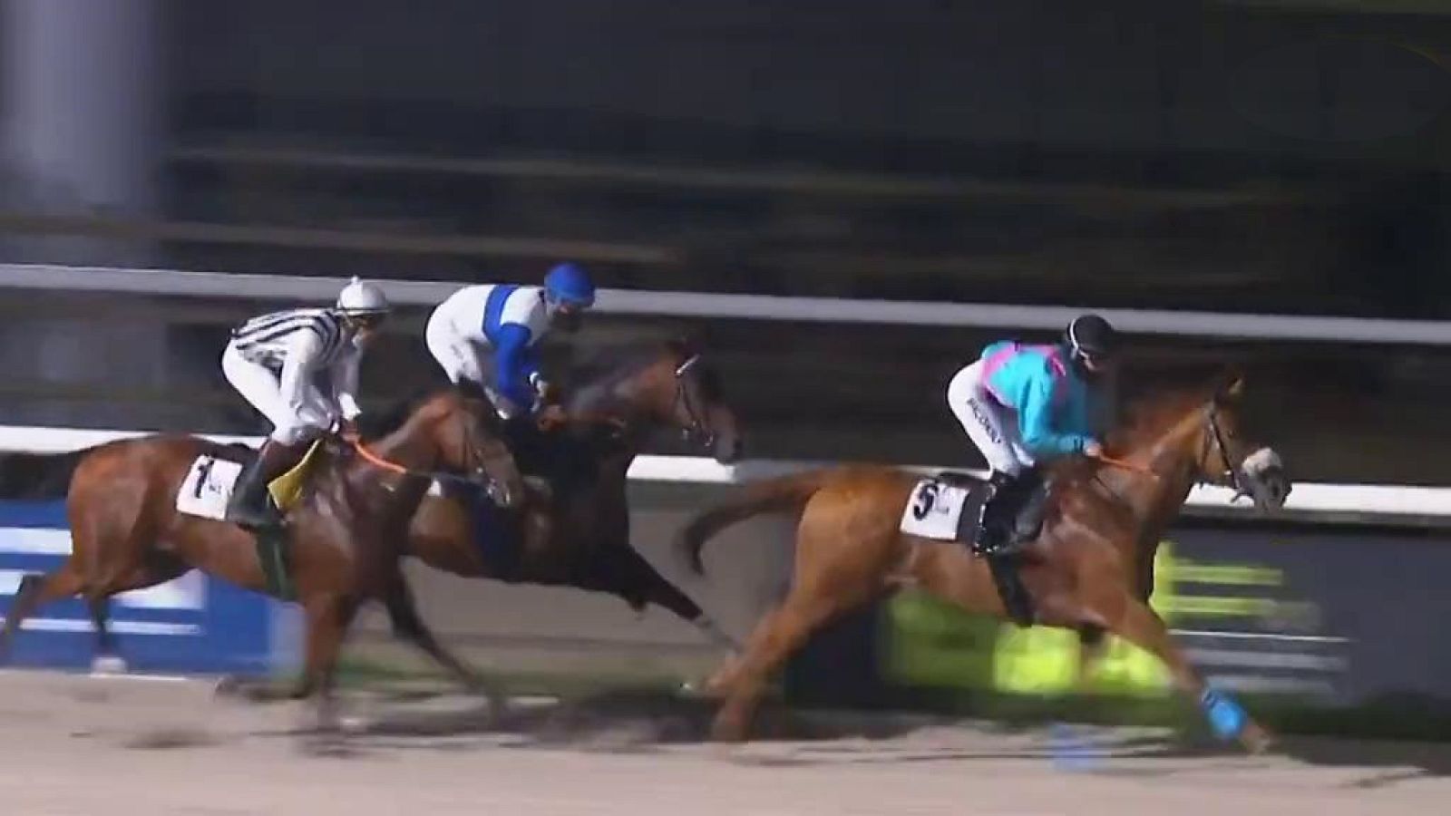 Hípica - Circuito nacional de carreras de caballos, desde el Hipódromo de la Zarzuela (Madrid) - ver ahora