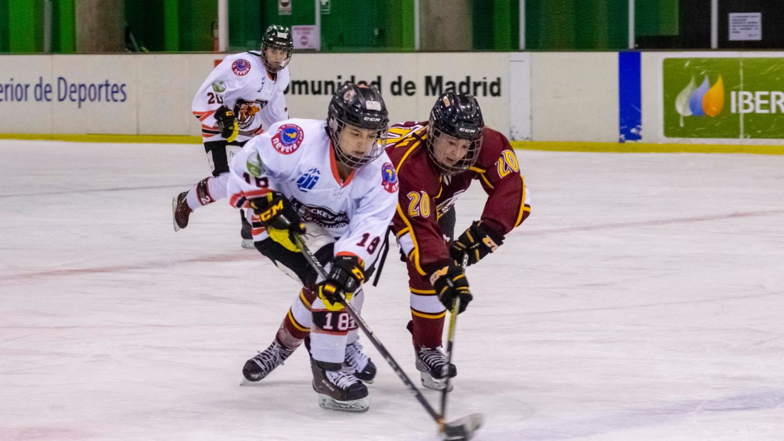 La liga Iberdrola de Hockey hielo busca a sus campeonas - Hockey sobre hielo | Ver