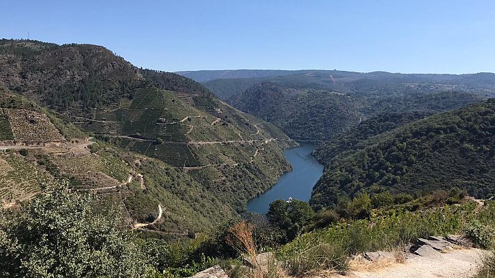 España Directo - España Directo - 11/09/20