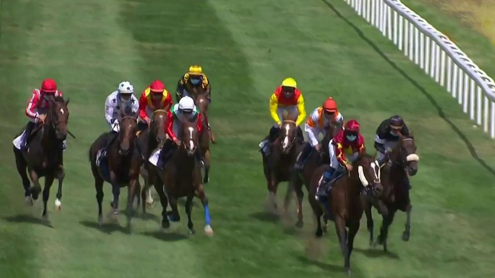 Hípica - Circuito de carreras de caballos desde el Hipódromo de La Zarzuela (Madrid) - ver ahora