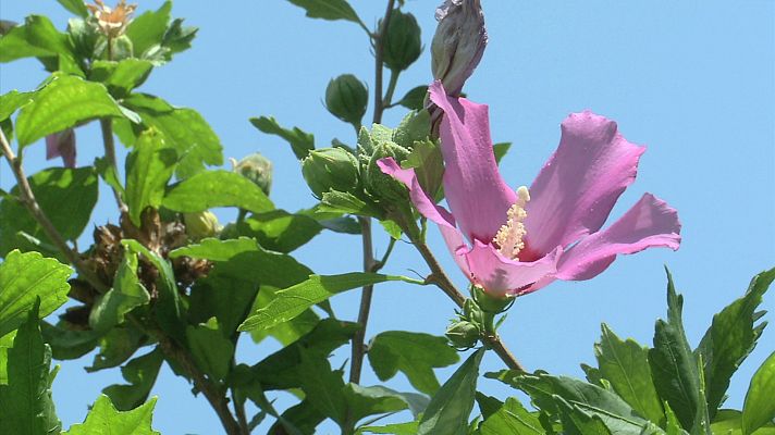 Aquí la Tierra - Aquí la Tierra - 14/09/20