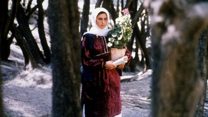 ¡Qué grande es el cine! - A través de los olivos