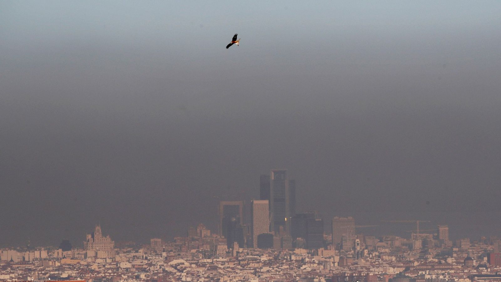 Ecologistas en Acción, Greenpeace e Intermon Oxfam demandan al Gobierno ante el Supremo por su inacción climática