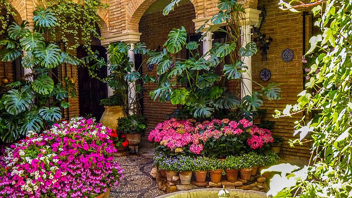 España Directo - Los patios de Córdoba se visten de gala