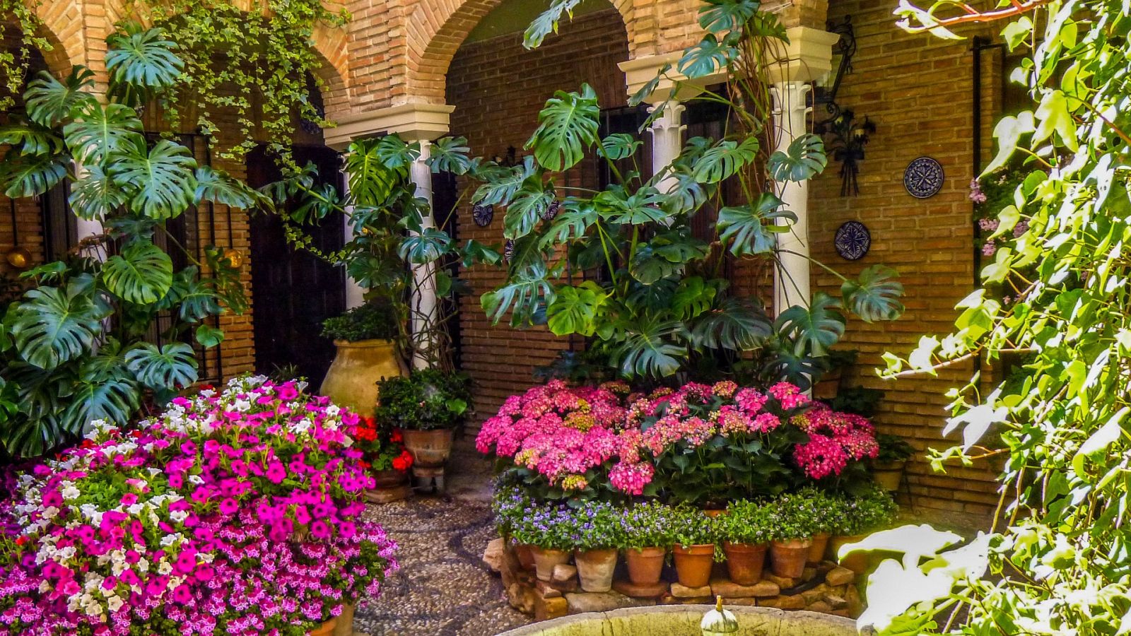 Patios de Córdoba se preparan - España Directo | Ver