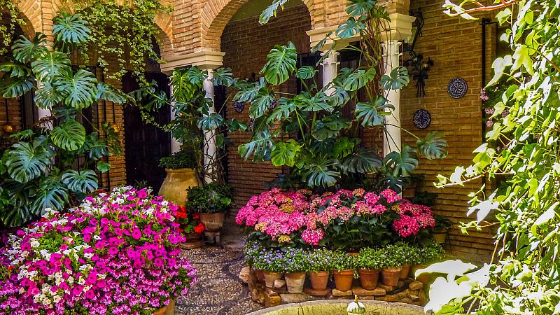 Patios de Córdoba se preparan - España Directo | Ver