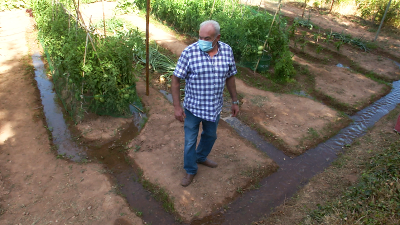 Aquí la Tierra - Agua de manantial: así es este centenario sistema de regadío