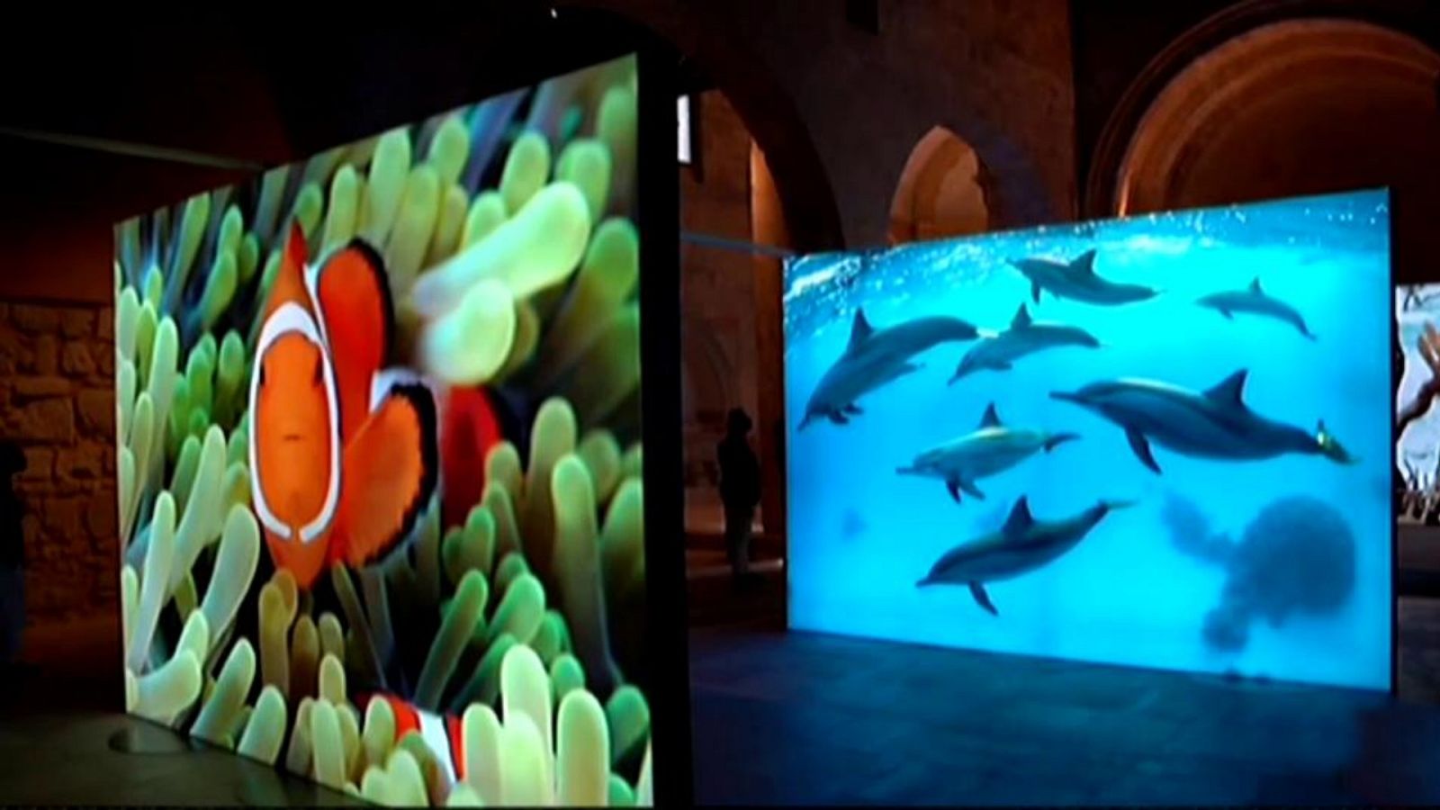 La hora cultural - 16/09/20 - ver ahora