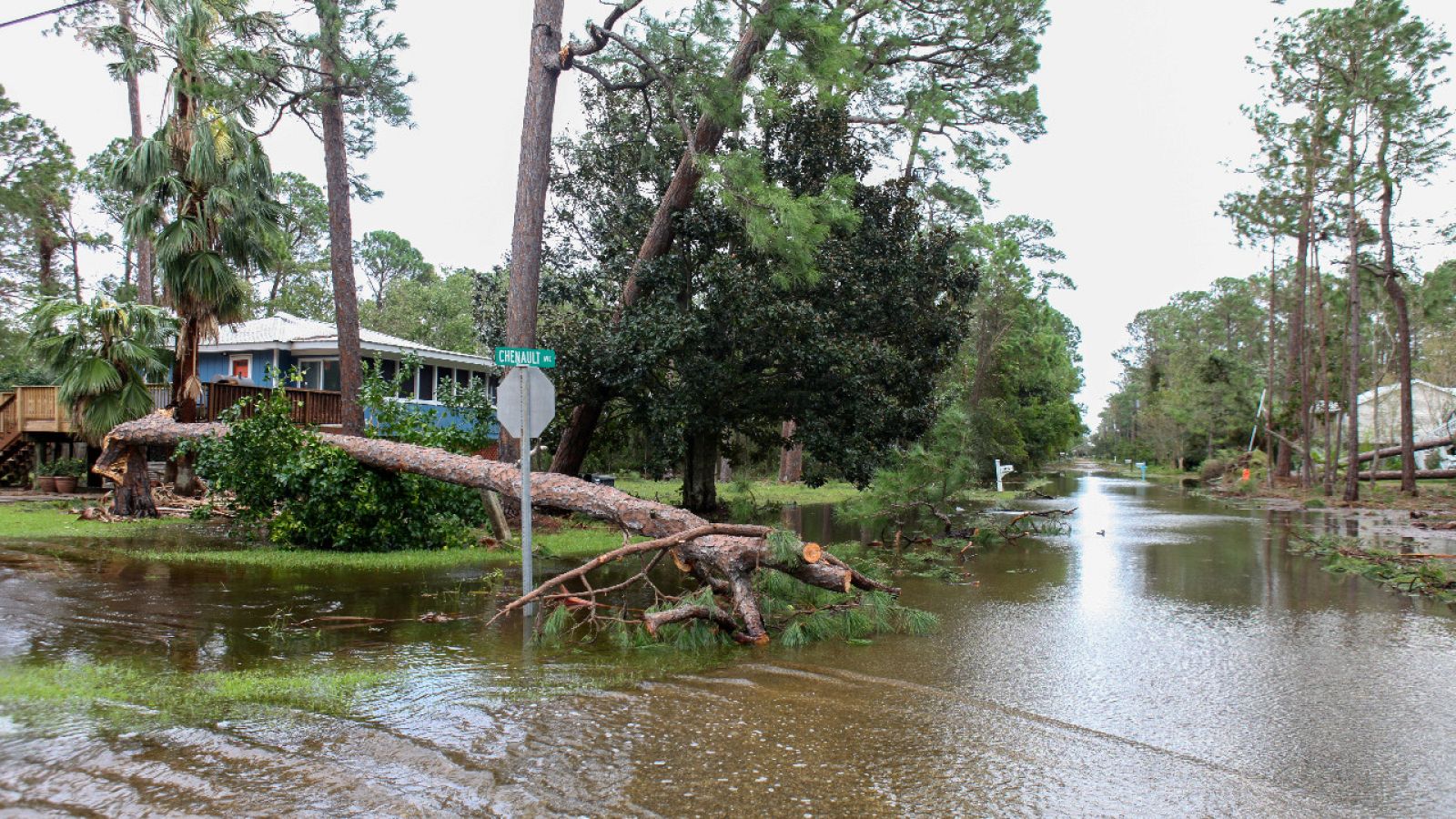 El huracán Sally deja graves inundaciones y miles de evacuados en Florida y Alabama - Telediario 1 | Ver