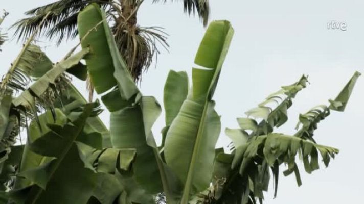 Cocina al punto con Peña y Tamara - Peña en La Orotava (Santa Cruz de Tenerife)