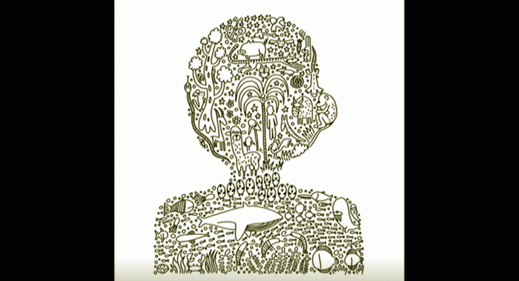 La aventura del Saber - Boek visual: Javirroyo