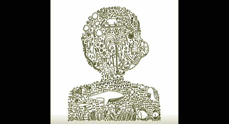 La aventura del saber Boek visual Javirroyo ilustrador diseñador arte