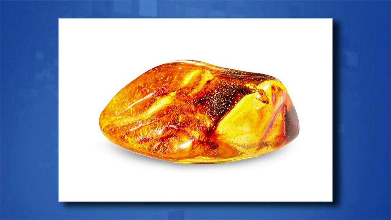 Saber y ganar - 18/09/20 - ver ahora