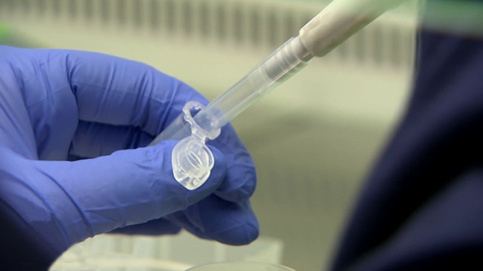 Para todos La 2 - 19/09/20 - ver ahora