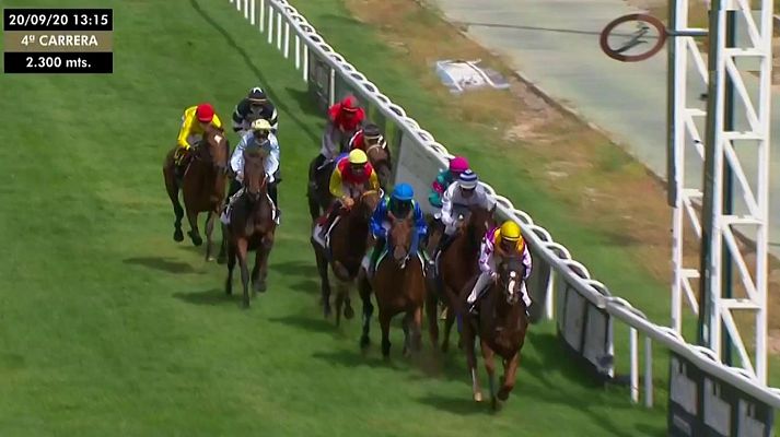 Hípica - Circuito de carreras de caballos (Hip.La Zarzuela)