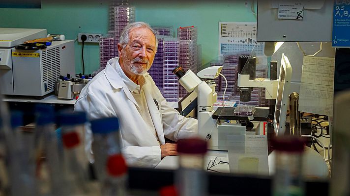 Informativo 24h - La vacuna contra la COVID-19 del CSIC será "muy segura" y de "respuesta inmune de alto nivel", pero no estará hasta finales de 2021