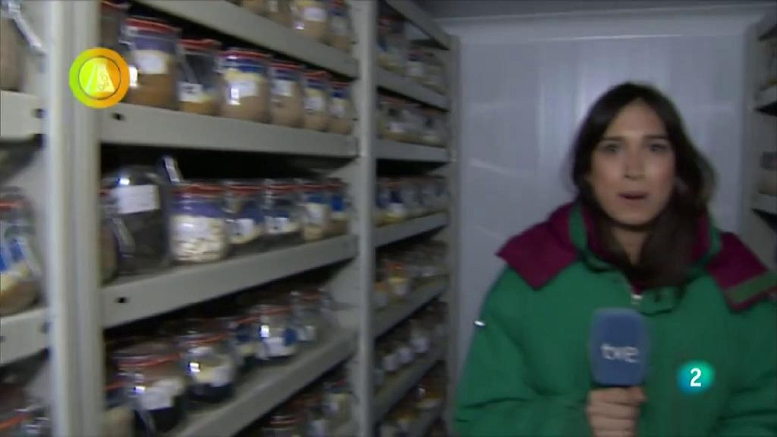 Laboratorio de ideas, Banco de semillas