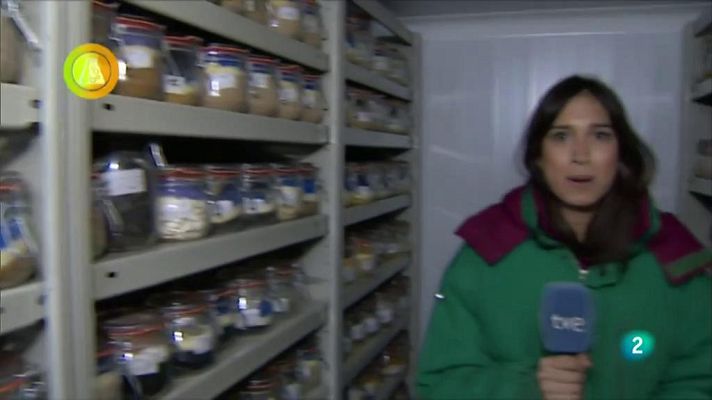 Agrosfera - BANCO DE SEMILLAS