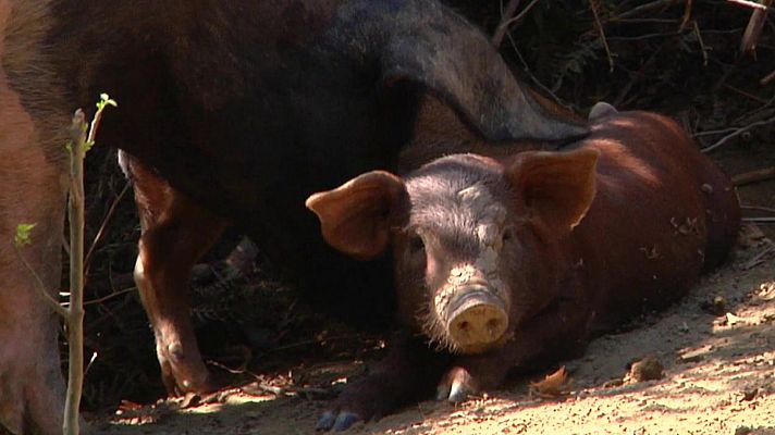 Aquí la Tierra - Aquí la Tierra - 21/09/20