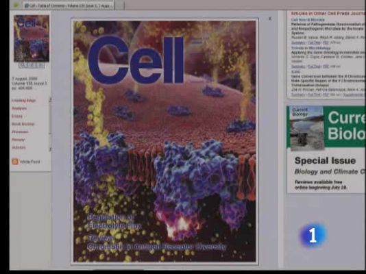 Ciencia y tecnología en Rtve.es - Avance en la lucha contra el cáncer