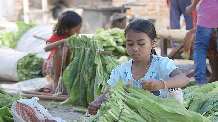 La noche temática - Los niños de la nicotina
