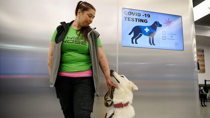 Telediario 1 - Perros rastreadores: la nueva medida del aeropuerto de Helsinki para detectar la COVID-19