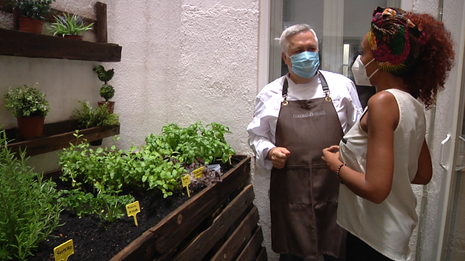 Aquí la Tierra - ¡Arroz risotto con hierbas del huerto!
