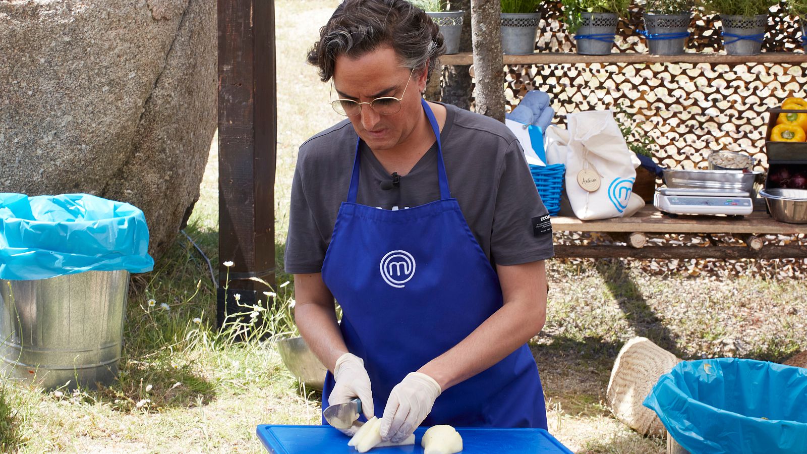 Conejos y serpientes, pánico en las cocinas | Ver